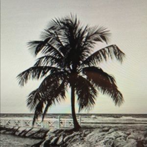 Meet your Posher, Ben